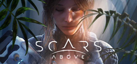 遍体鳞伤 / 伤痕累累 / Scars Above